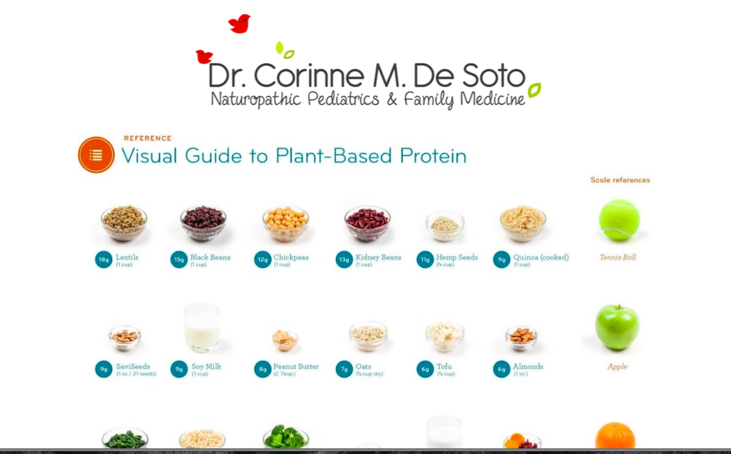Plant-based protein guide